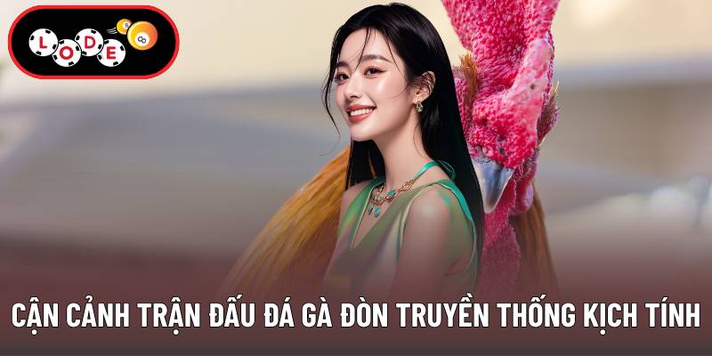 Cận cảnh trận đấu đá gà đòn truyền thống kịch tính