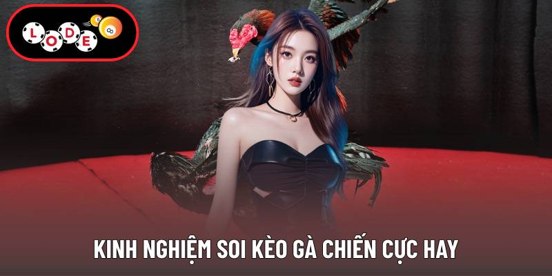 Kinh nghiệm soi kèo gà chiến cực hay