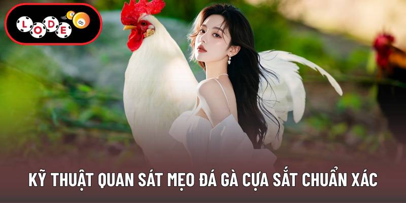 Kỹ thuật quan sát mẹo đá gà cựa sắt chuẩn xác