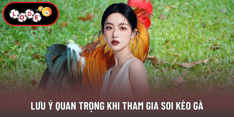 Lưu ý quan trọng khi tham gia soi kèo gà