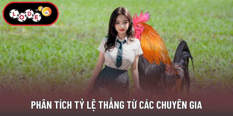 Phân tích tỷ lệ thắng từ các chuyên gia