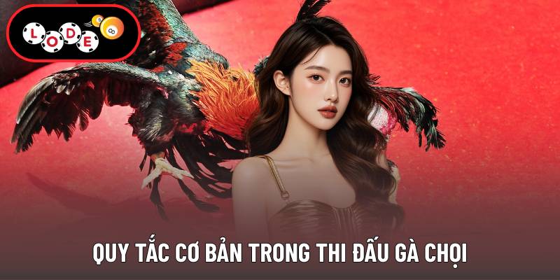 Quy tắc cơ bản trong thi đấu gà chọi