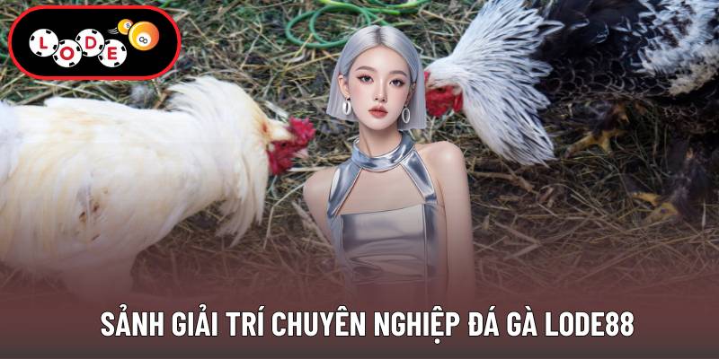 Sảnh giải trí chuyên nghiệp đá gà Lode88