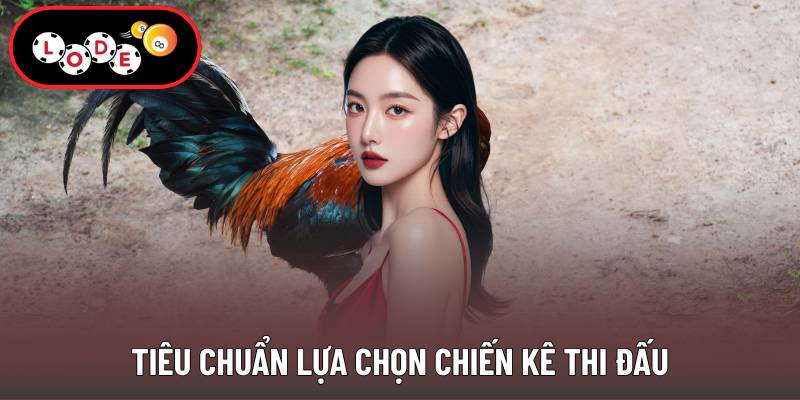 Tiêu chuẩn lựa chọn chiến kê thi đấu