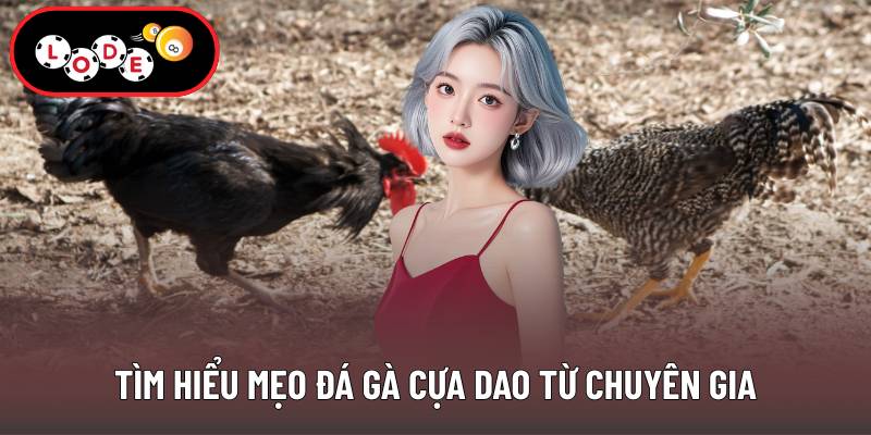 Tìm hiểu mẹo đá gà cựa dao từ chuyên gia