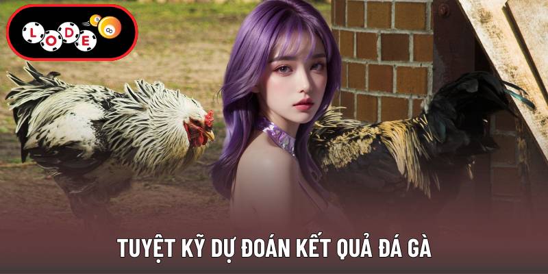 Tuyệt kỹ dự đoán kết quả đá gà